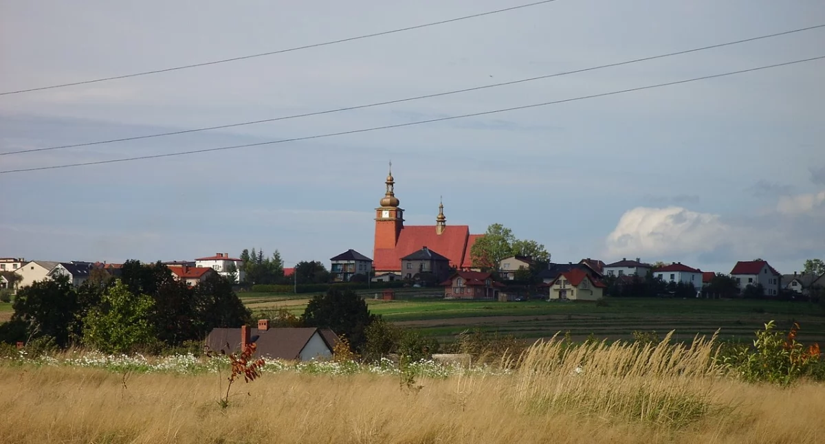 Historia wsi Pietrzykowice