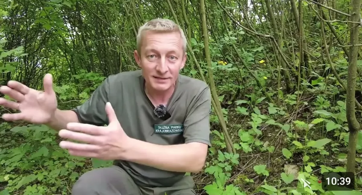 Czyżnie - Tajemniczy Świat Krzewów i Zarośli [VIDEO]
