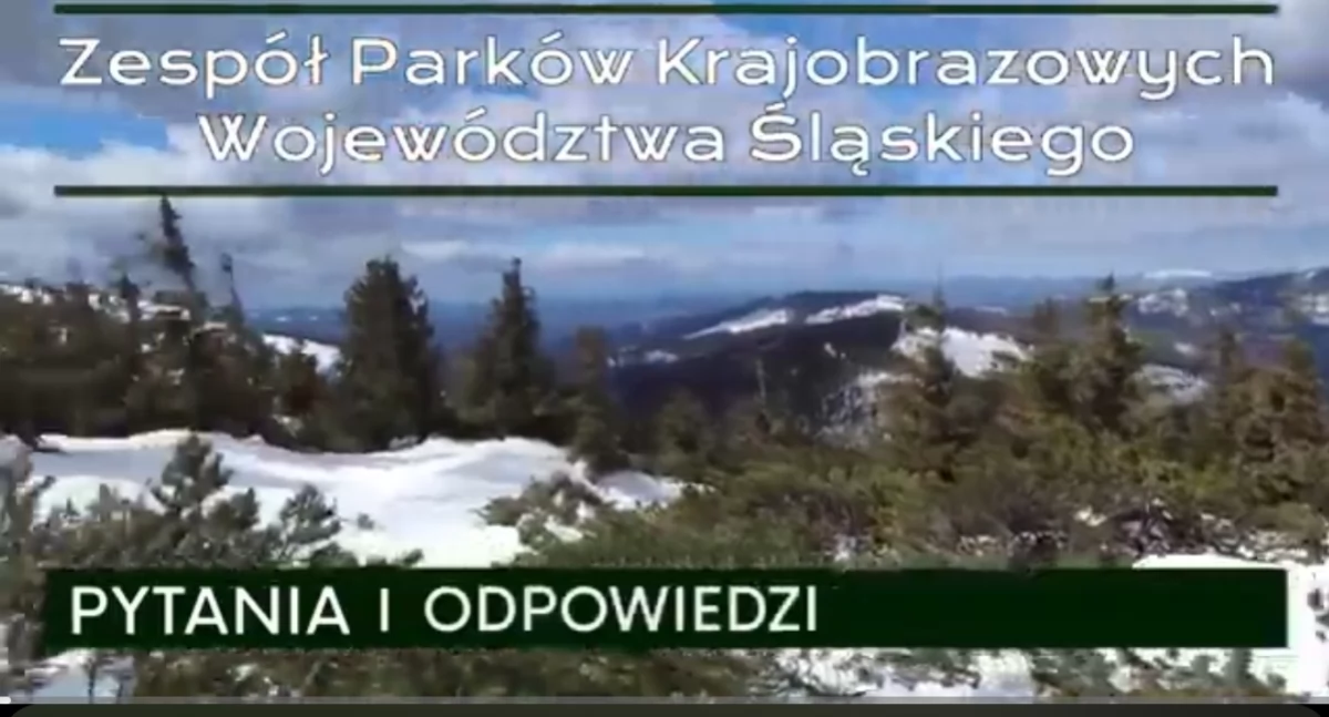 Jak zostać parkowcem? - Video z odpowiedziami na pytania o przyrodę