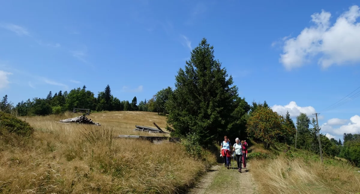 Wakacyjne Spotkania z Przyrodą w Parkach Krajobrazowych Województwa Śląskiego