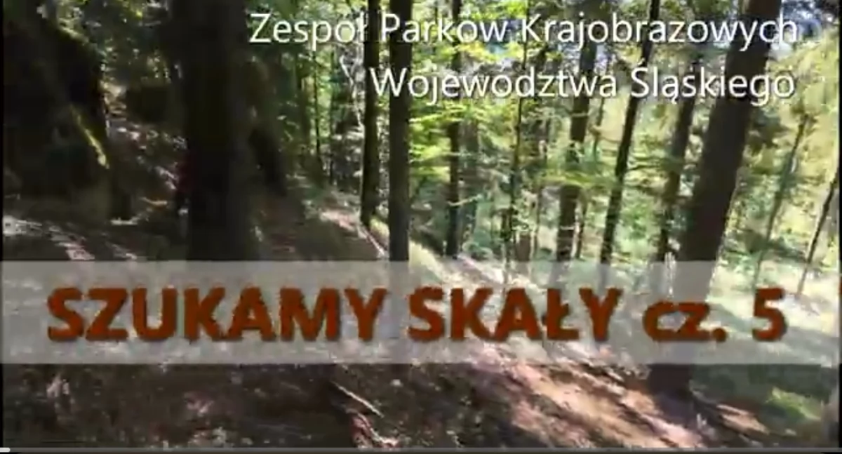 Poszukiwanie skał pod Polaną Gibasy – Video