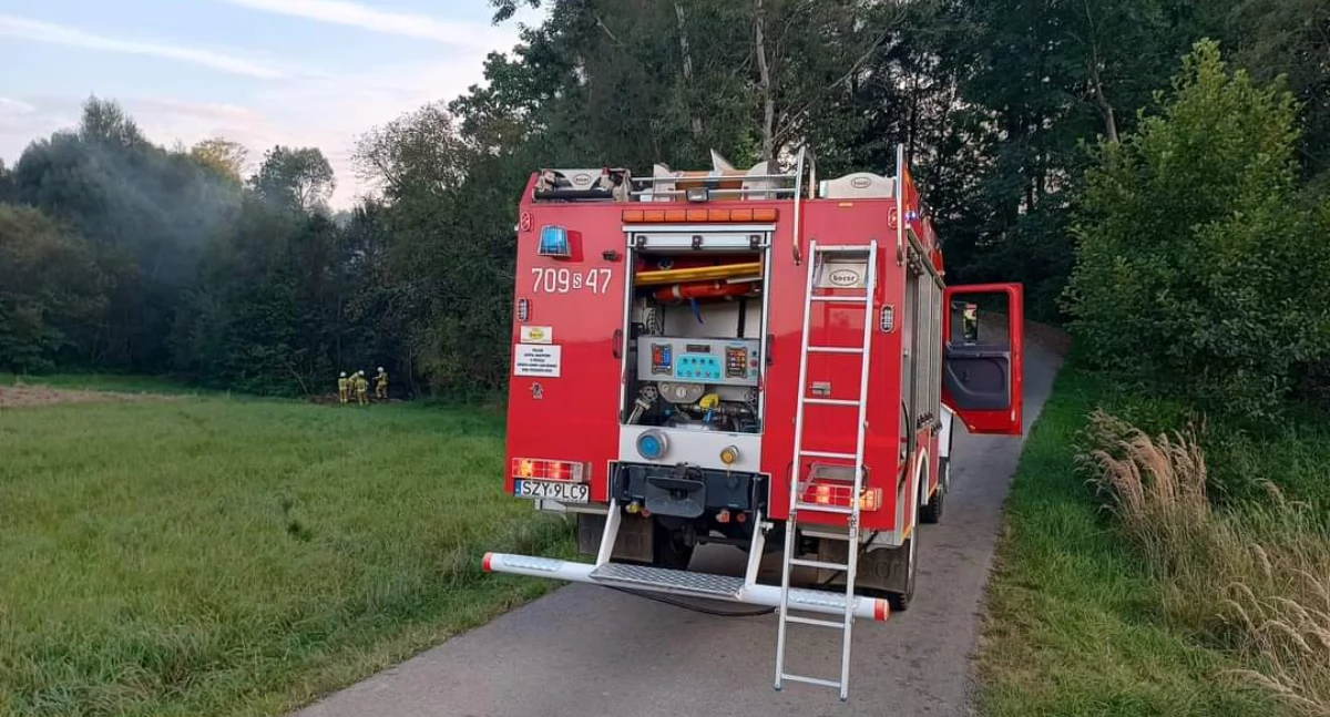 Pożar zarośli i skoszonej trawy w Pietrzykowicach