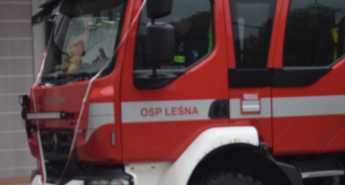 Alarm OSP Leśna – Interwencja 29/2024: Uwięziona sarna w ogrodzeniu