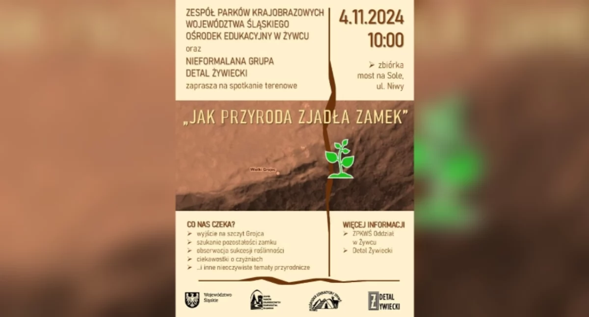 Jak przyroda zjadła zamek – Spotkanie terenowe na Grojcu