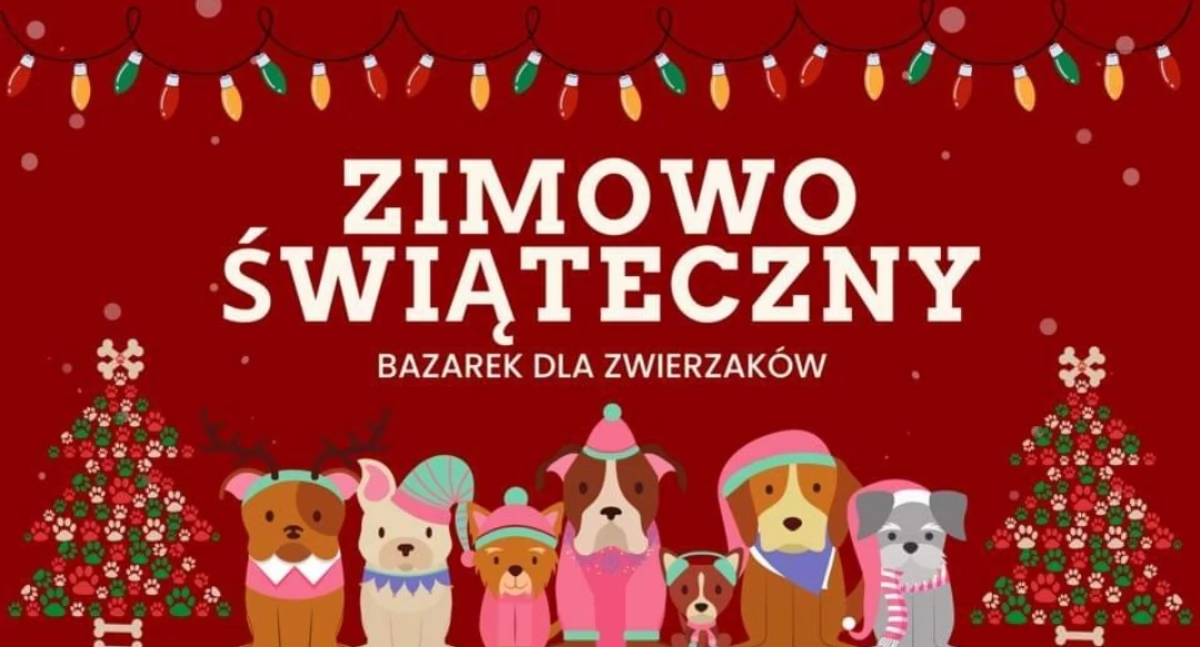 List do Mikołaja – Świąteczna Akcja dla Bezdomnych Zwierząt w Żywcu