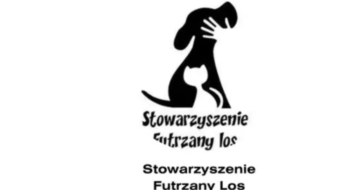 Pomóż bezdomnym zwierzętom w Żywcu – Wspieraj schronisko bez wychodzenia z domu