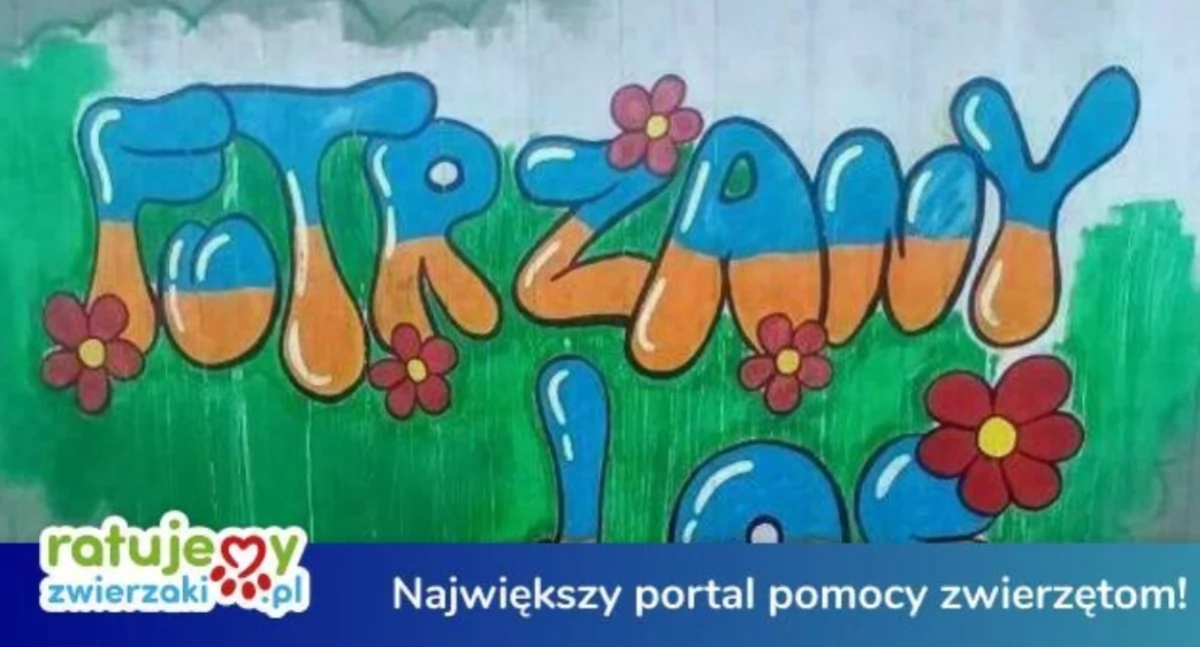 Pomóż Futrzanemu Losowi wygrać 100 000 zł dla zwierzaków!