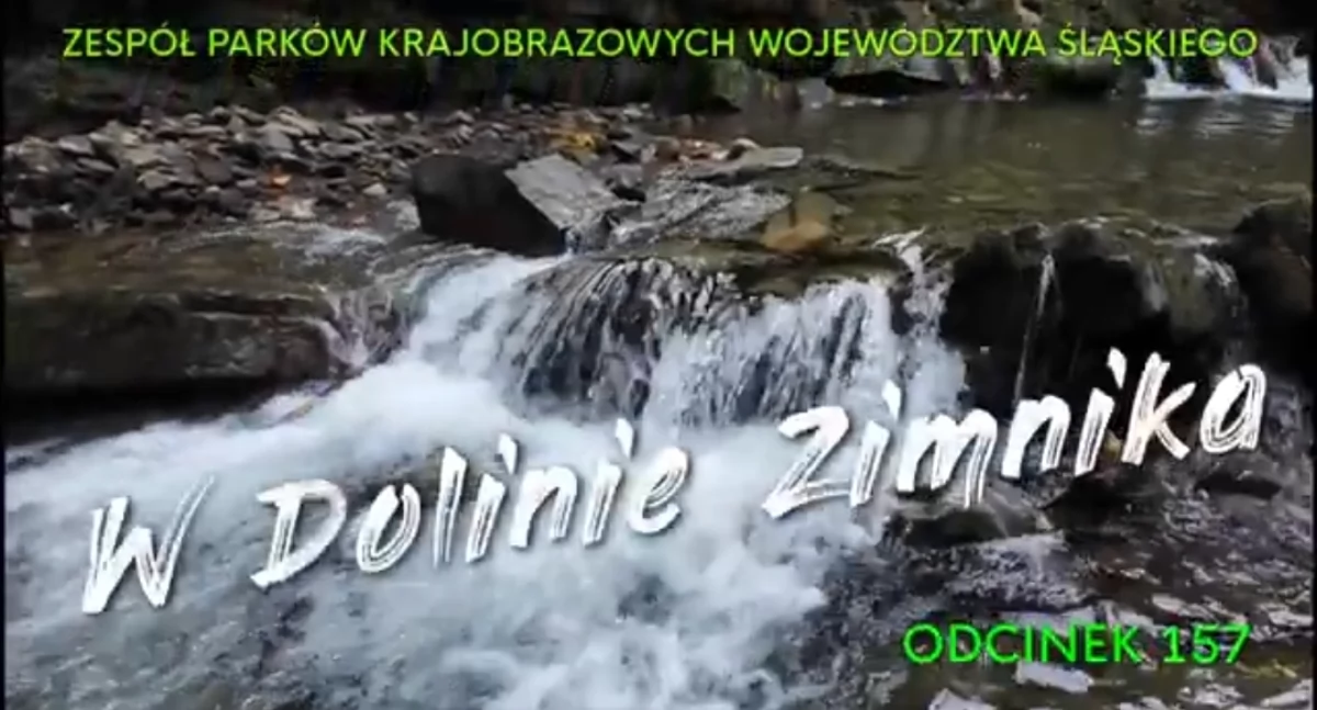Spacer po Dolinie Zimnika – natura w najlepszym wydaniu. Video