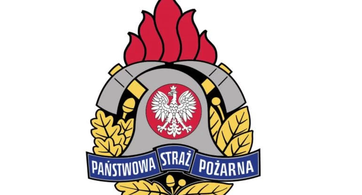 Strażacy i wnuk uratowali życie 80-letniej kobiety w Żywcu