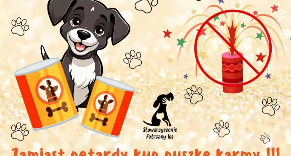 Zamiast Petardy Kup Puszkę Karmy – Bądź Bohaterem Zwierząt!