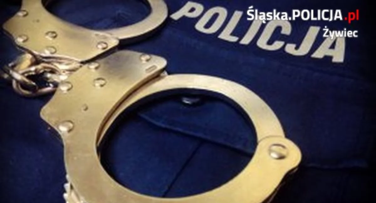 Agresywny 35-latek zatrzymany w Ujsołach: Atakował policjantów i stwarzał zagrożenie na drodze