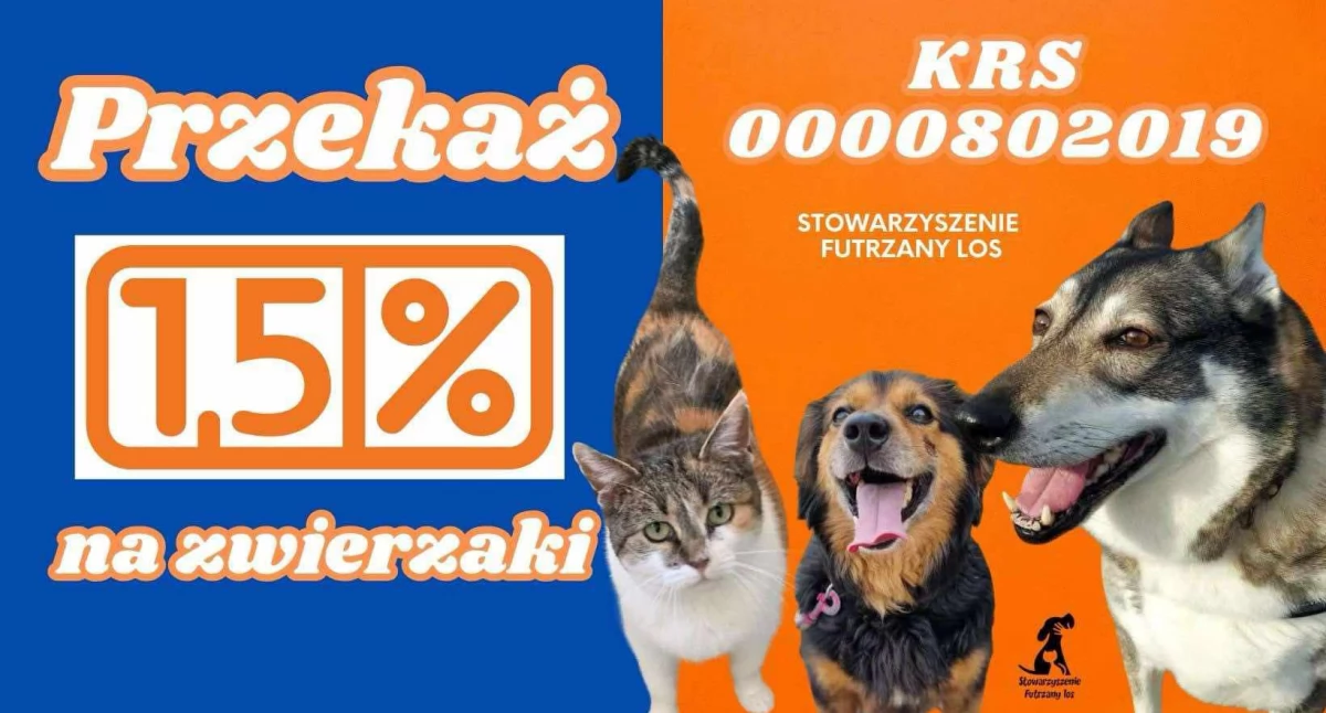 Przekaż 1,5% podatku na Stowarzyszenie Futrzany Los – wspólnie pomóżmy zwierzakom!