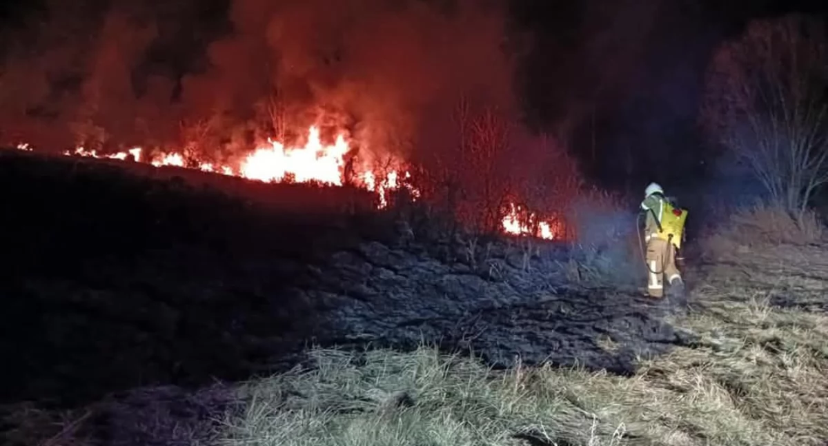Pożar suchej trawy w Wieprzu – szybka interwencja strażaków