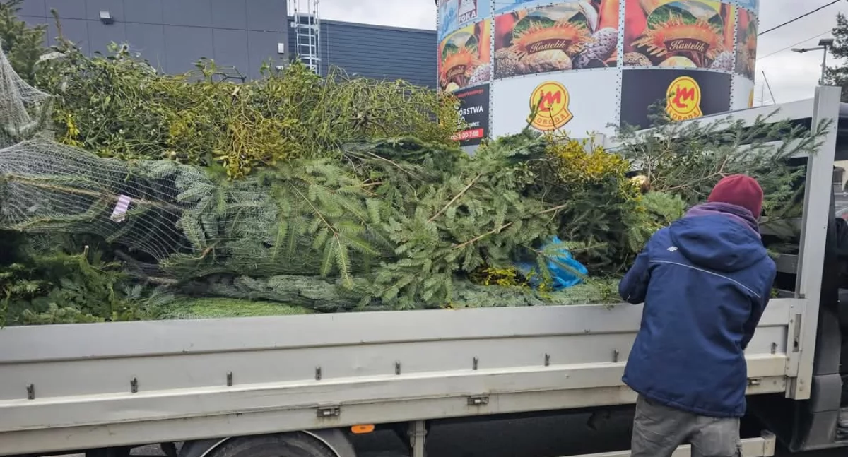 Naturalne Tarliska w Powiecie Żywieckim – Wspólna Inicjatywa na Rzecz Ochrony Rybiej Populacji