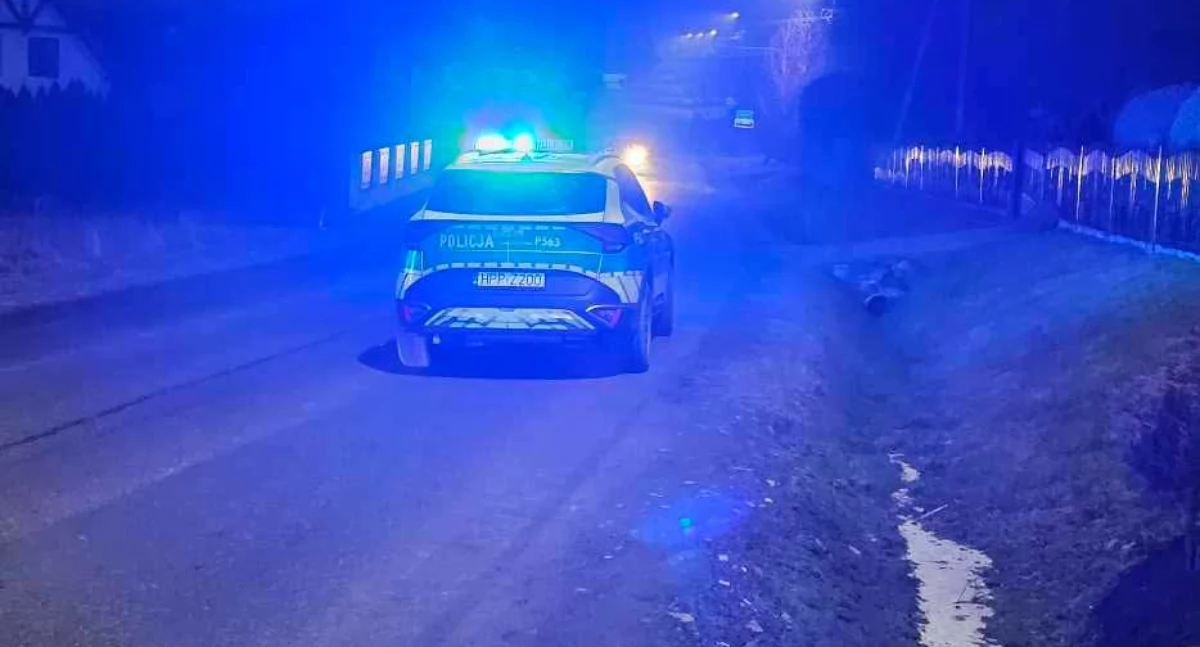 Pożar pojemników na odpady w Brzuśniku – szybka interwencja straży