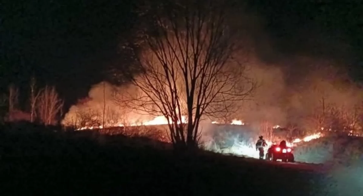 Pożar suchej trawy w Wieprzu – szybka interwencja strażaków
