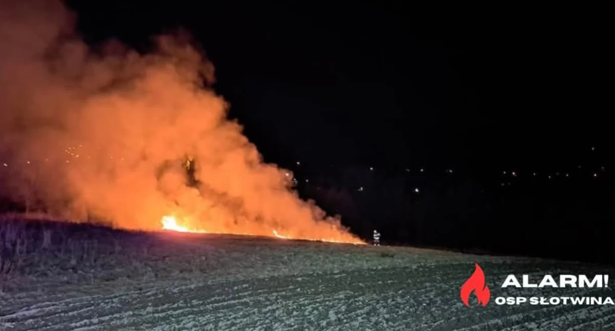 Strażacy z OSP Słotwina dwukrotnie walczyli z pożarami traw