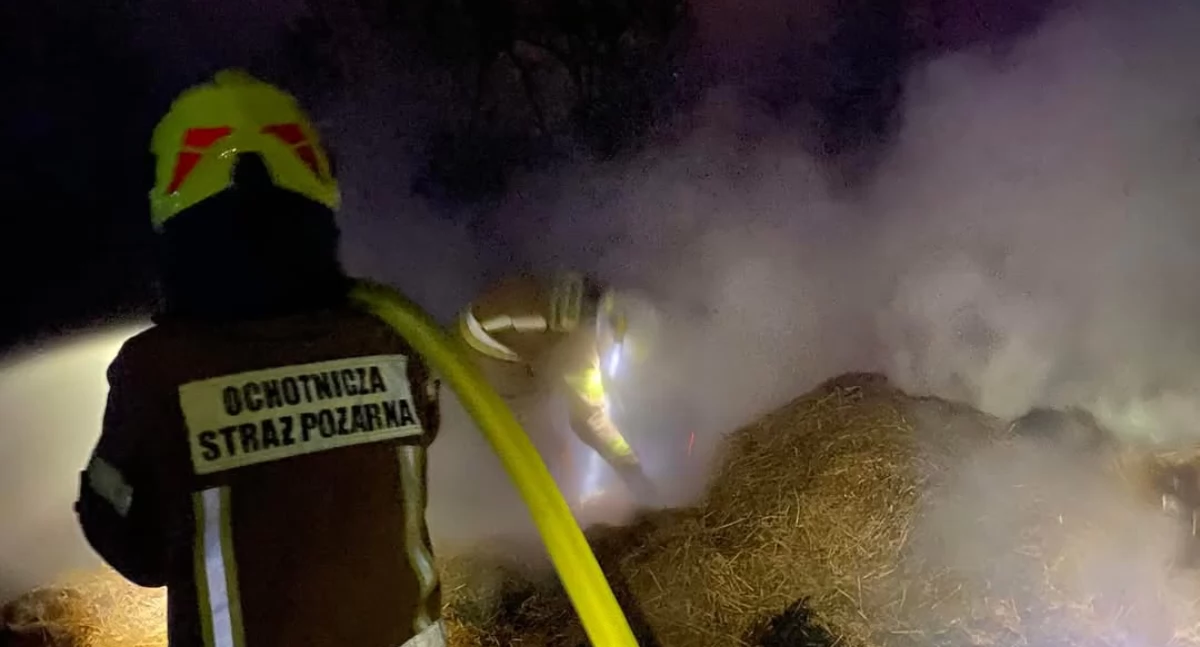 Pożar suchej trawy w Pietrzykowicach – szybka interwencja strażaków