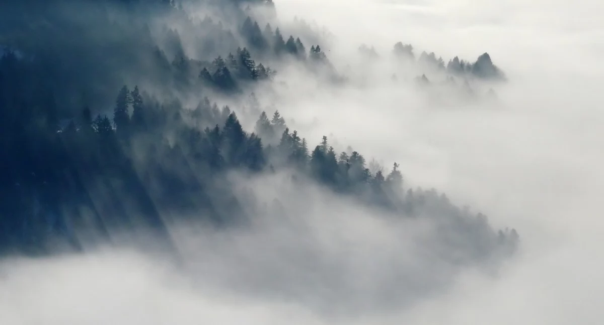 Ostrzeżenie meteorologiczne: Silny wiatr