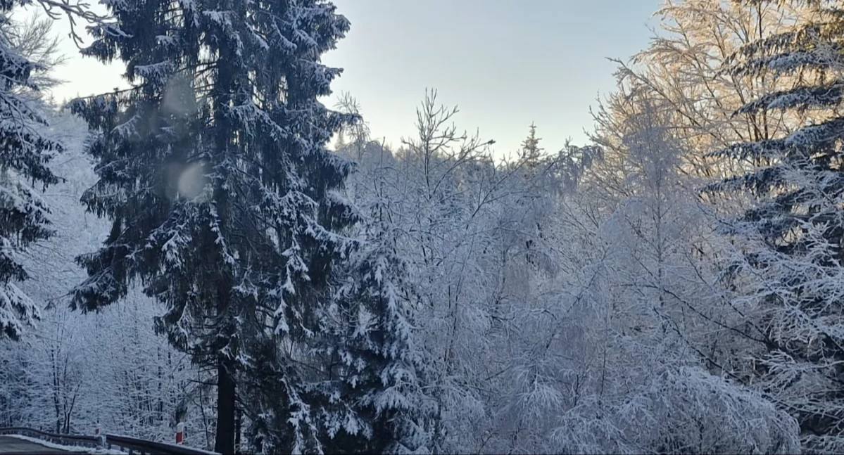 Ostrzeżenia meteorologiczne: Opady śniegu i przymrozki