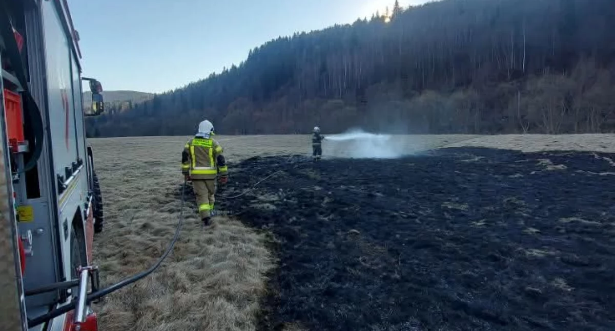 Pożar trawy w Rajczy Dolnej – interwencja straży pożarnej