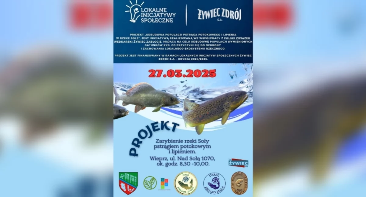Odbudowa populacji pstrąga i lipienia w Sole – lokalna inicjatywa ekologiczna