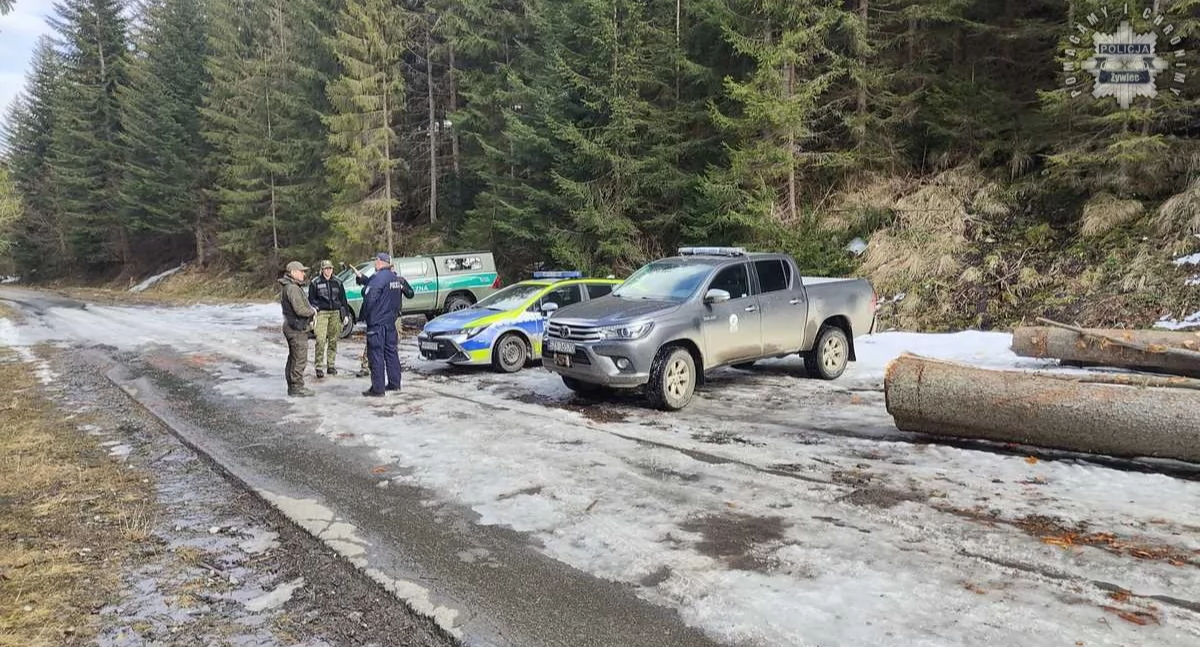 Wspólne patrole mundurowych w lasach – kontrola i ochrona przyrody
