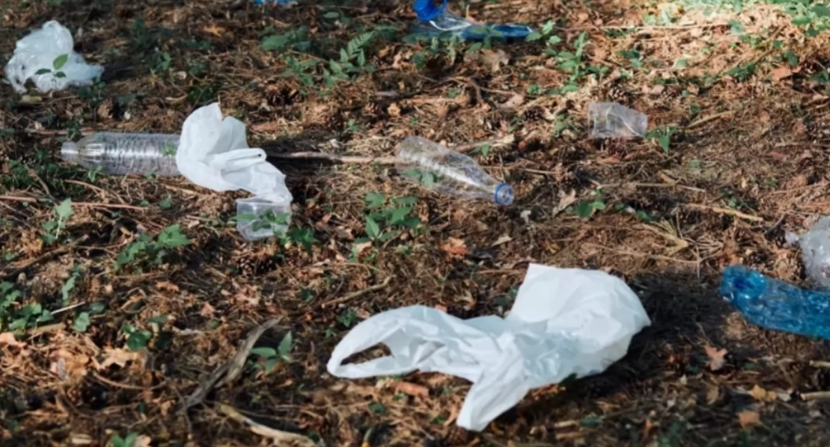 Czernichów walczy z problemem spożywania alkoholu w miejscach publicznych