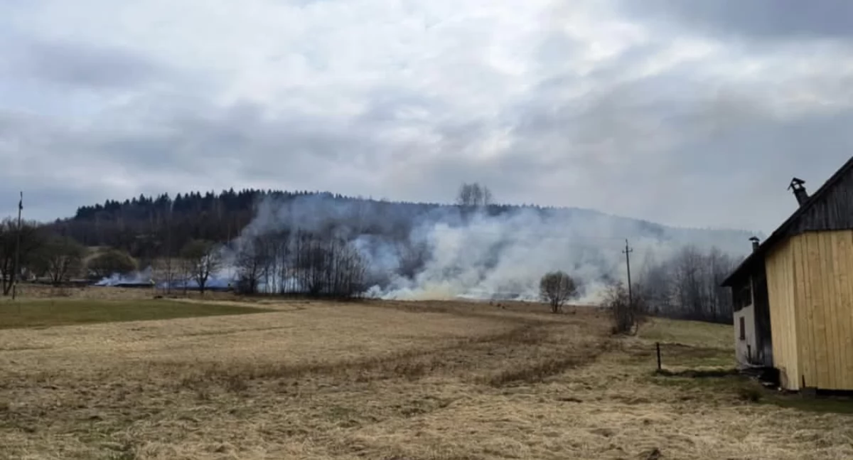 Pożar traw w Ślemieniu – szybka akcja strażaków