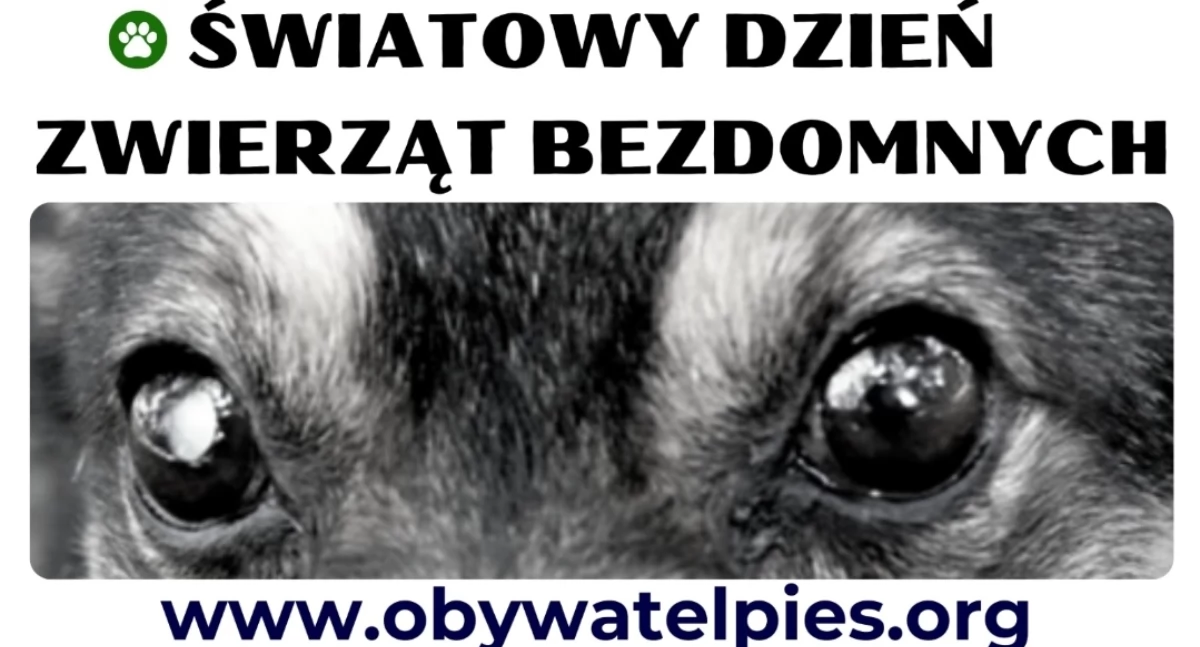ŚWIATOWY DZIEŃ ZWIERZĄT BEZDOMNYCH I OBYWATEL PIES
