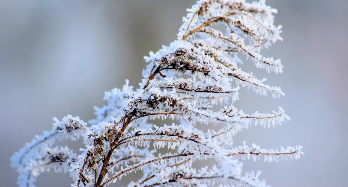 Ostrzeżenia meteorologiczne: Oblodzenie i przymrozki – zachowaj ostrożność!