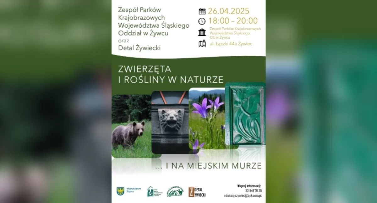 Odkryj dziką przyrodę... na murze miejskim!