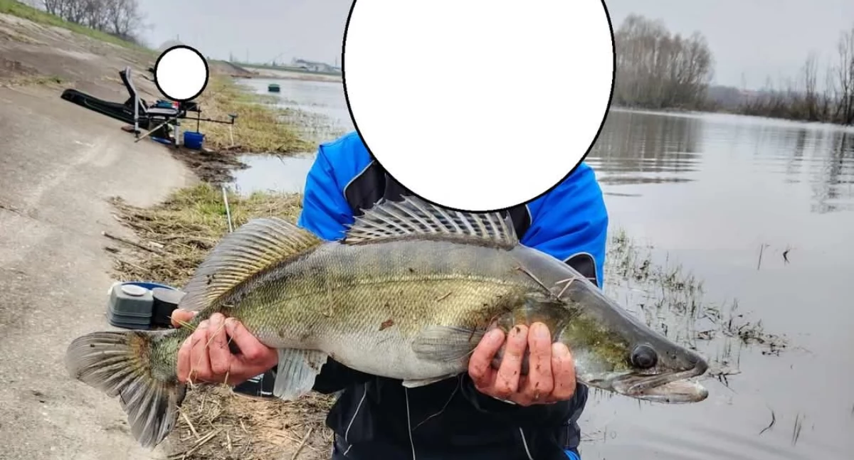 Strażnicy SSR Żywiec na patrolu – skuteczne działania nad wodą