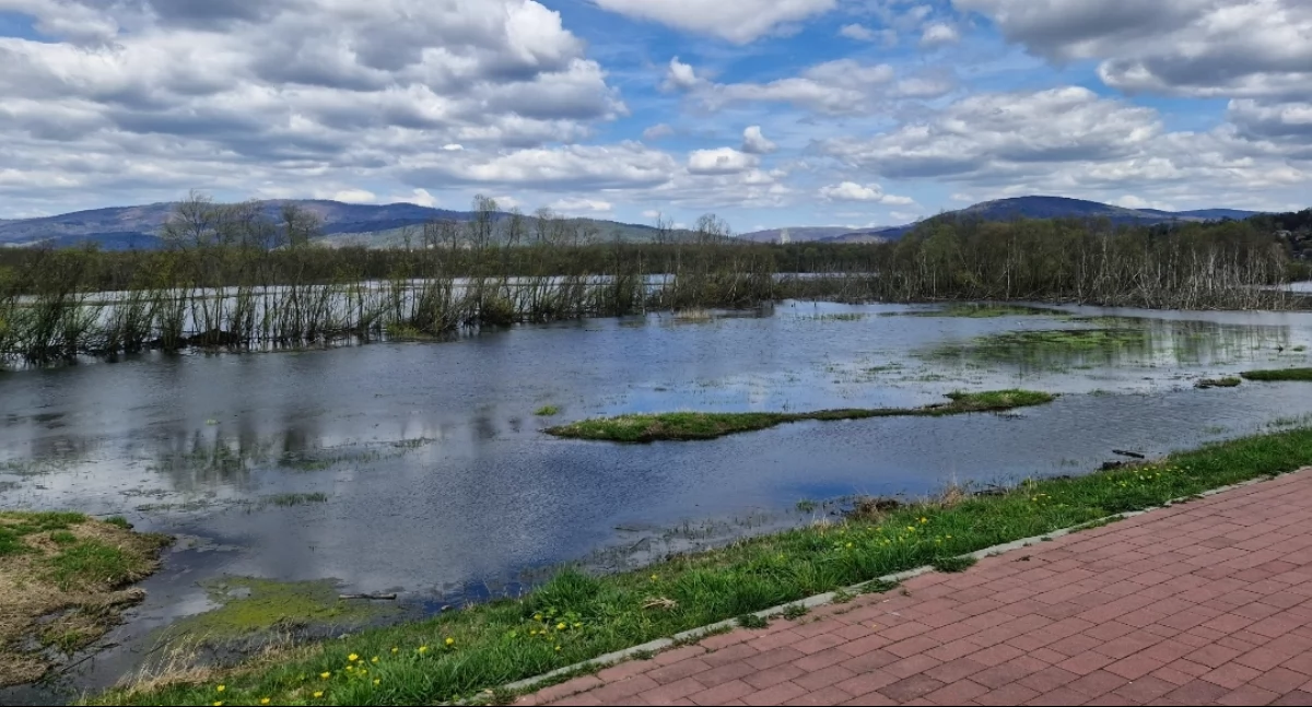Nowe ścieżki rowerowe nad Jeziorem Żywieckim – rusza przetarg!