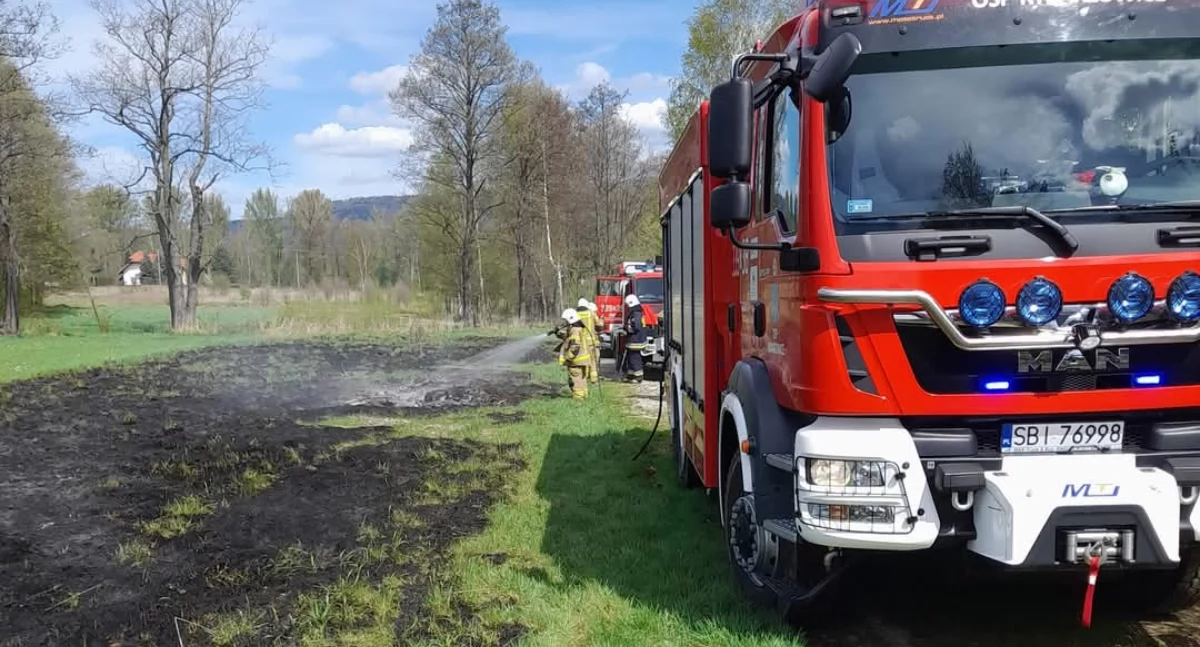 Pożar trawy na ul. Za Wodą – szybka interwencja służb
