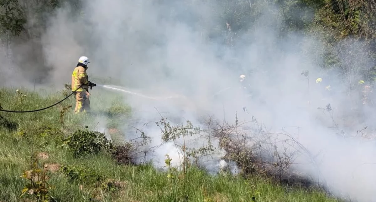 Pożar traw w Międzybrodziu Bialskim