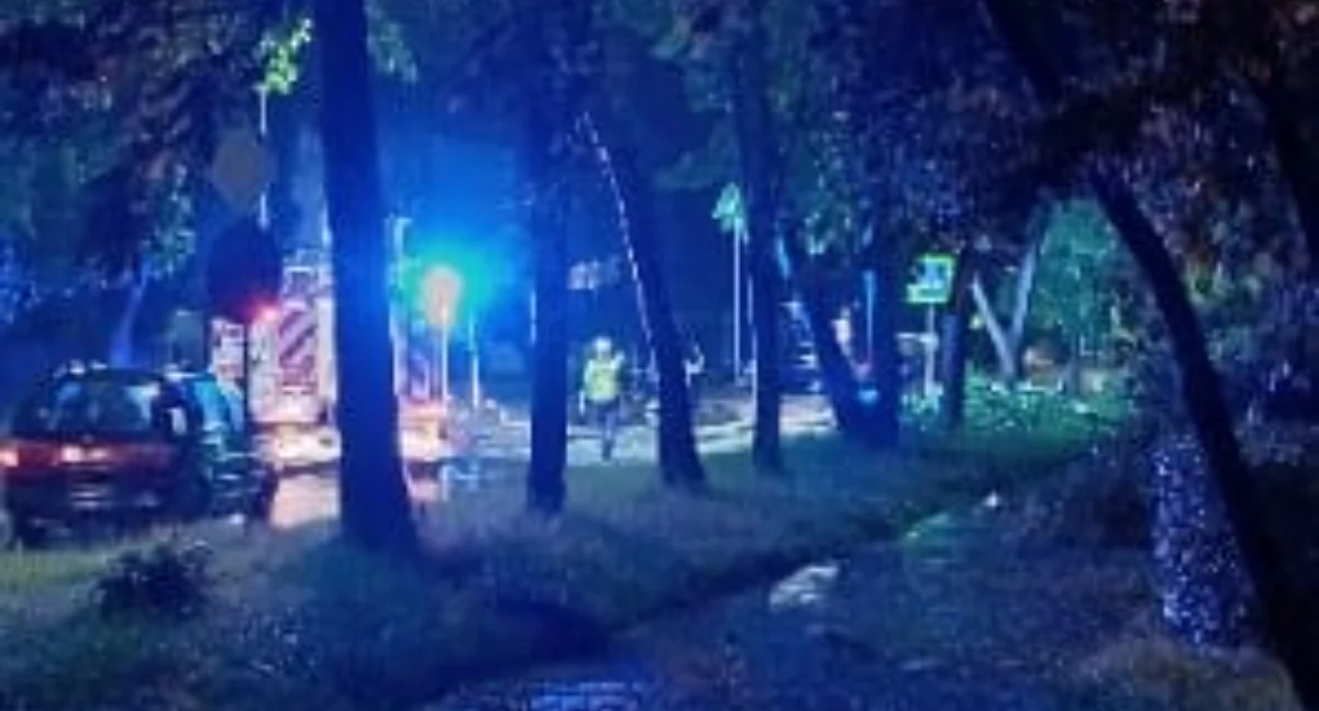 Nocna nawałnica z 5 na 6 czerwca – zniszczenia w powiecie Żywieckim 