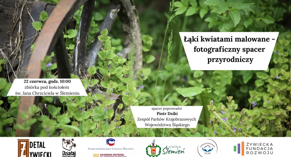 Już 22 czerwca o godz.10:00 – fotograficzny spacer przyrodniczy w Ślemieniu!