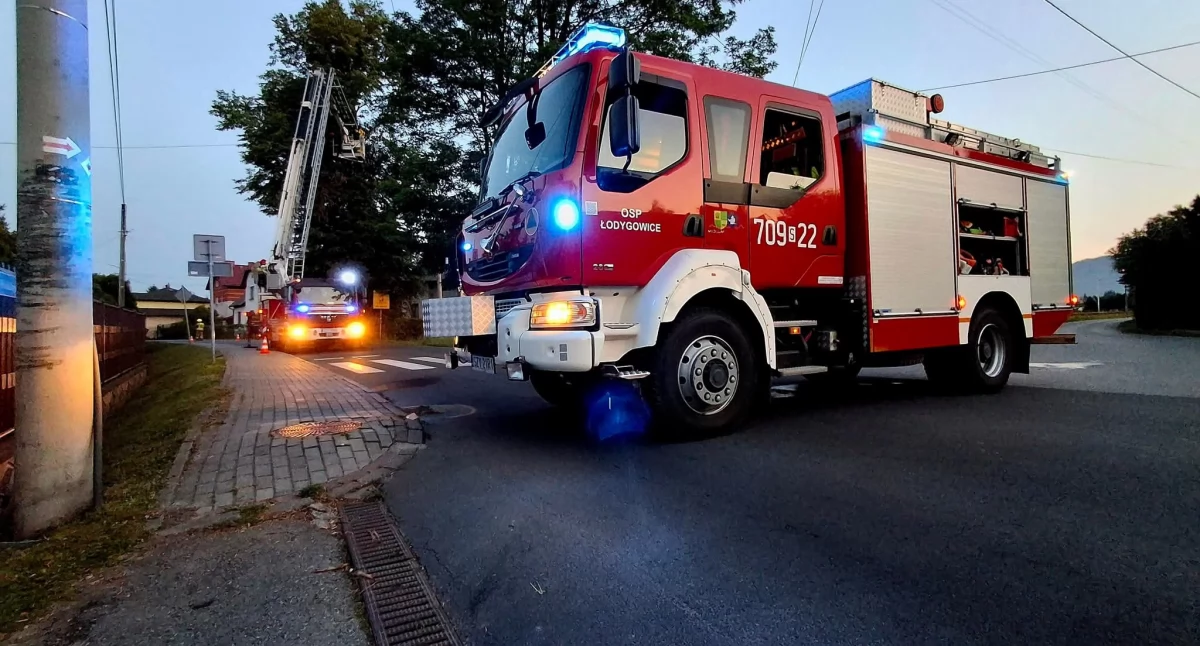 Niebezpieczne konary nad jezdnią w Łodygowicach – interweniowały służby