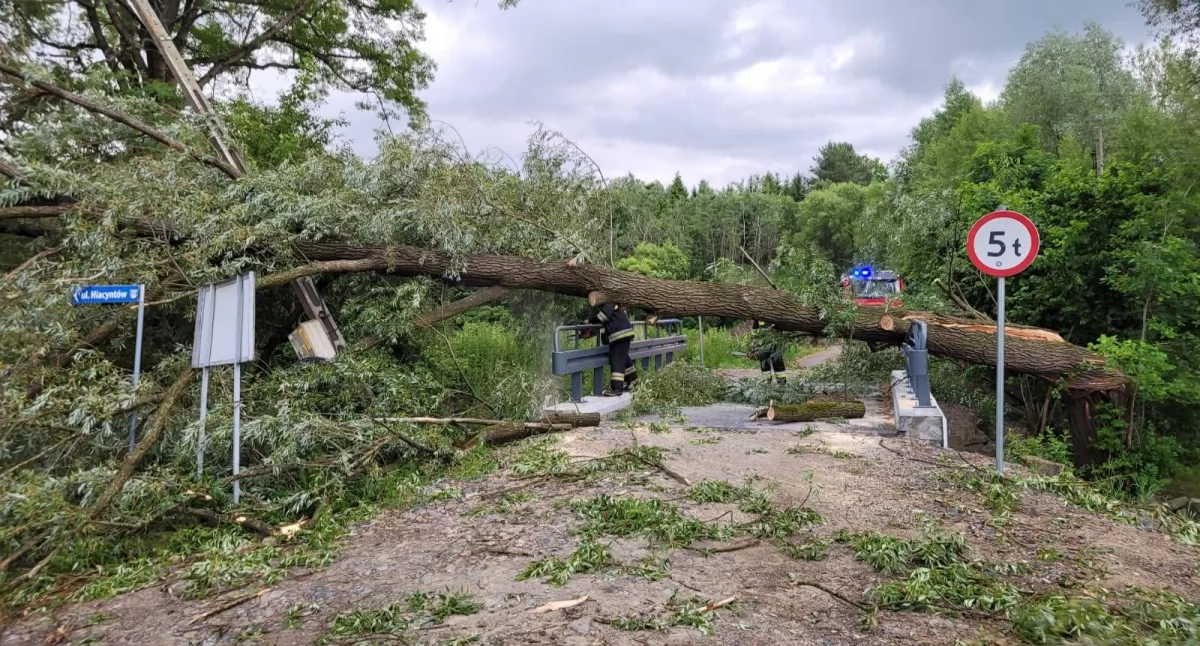Lipowa: Powalone drzewo na ul. Hiacyntów – interwencja OSP Lipowa