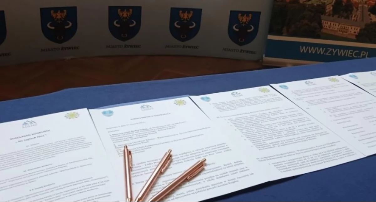 Jak Vaiana – Łódka Przyjaźni: Nowy projekt integracyjny wystartował w Żywcu!