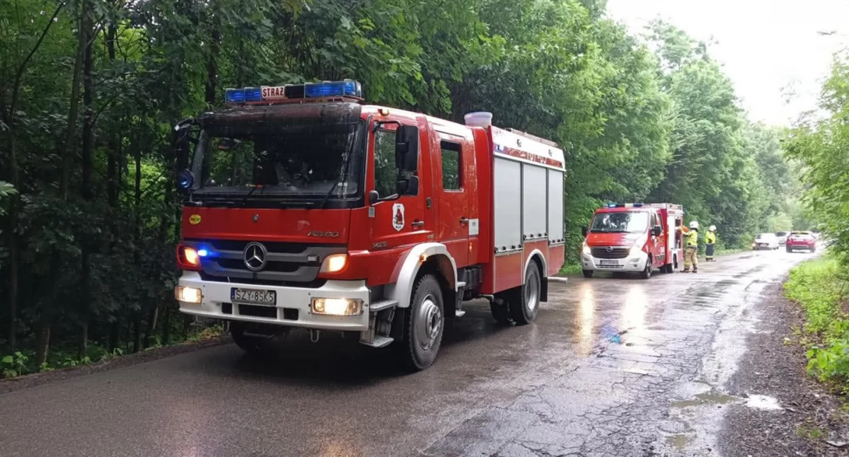 Konar na jezdni w Wieprzu – szybka interwencja strażaków
