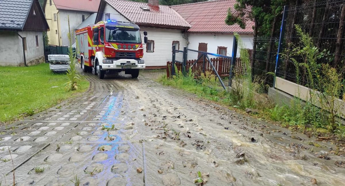 Lokalne zagrożenie w Pewli Ślemieńskiej – interwencja OSP