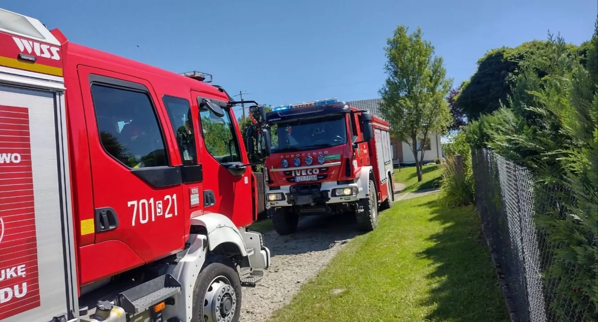 Żmija w ogrodzie? Interwencja służb w Rychwałdzie