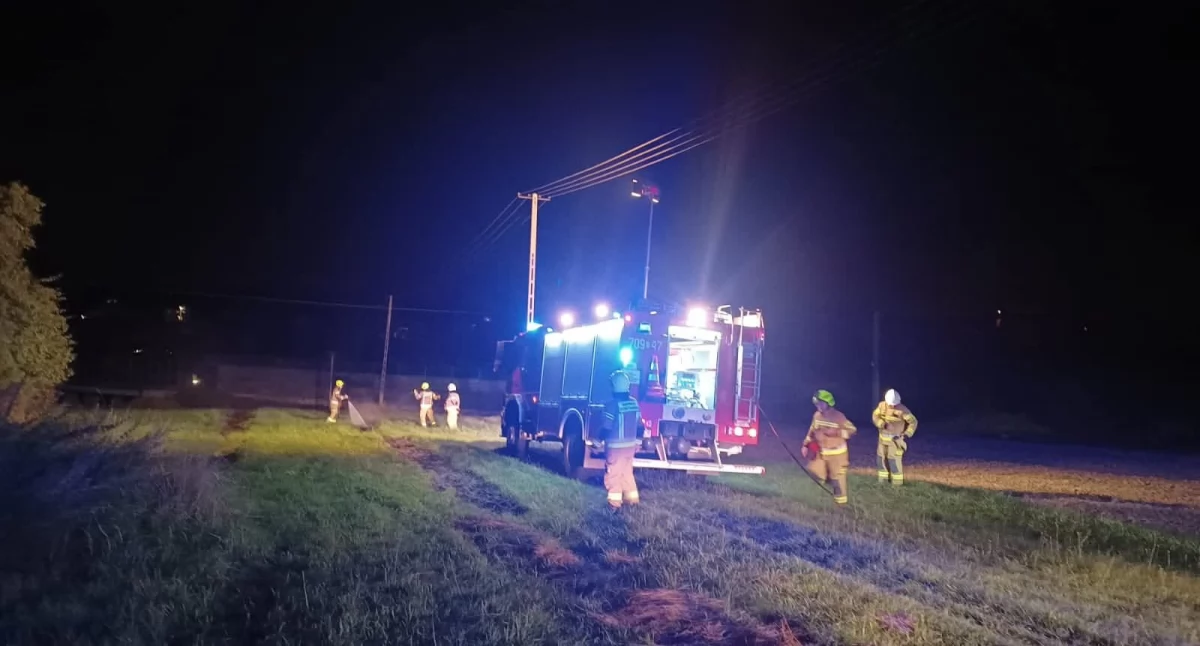 Pożar suchej trawy w Pietrzykowicach