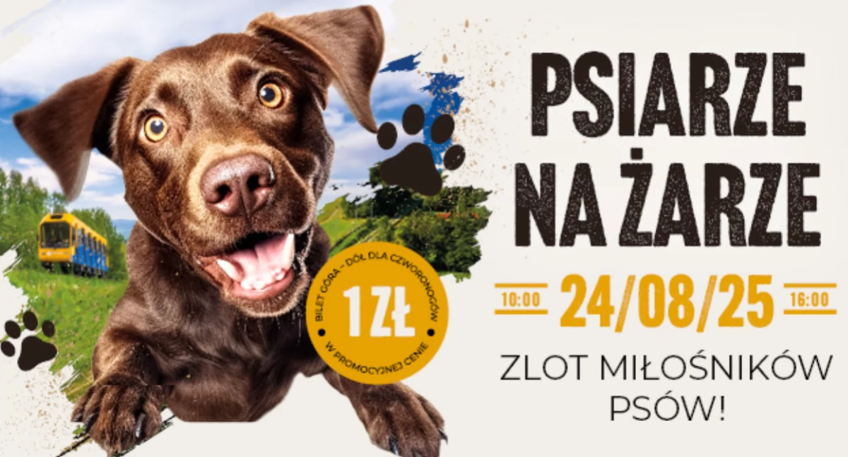 Psiarze na Żarze – wyjątkowe wydarzenie dla miłośników psów
