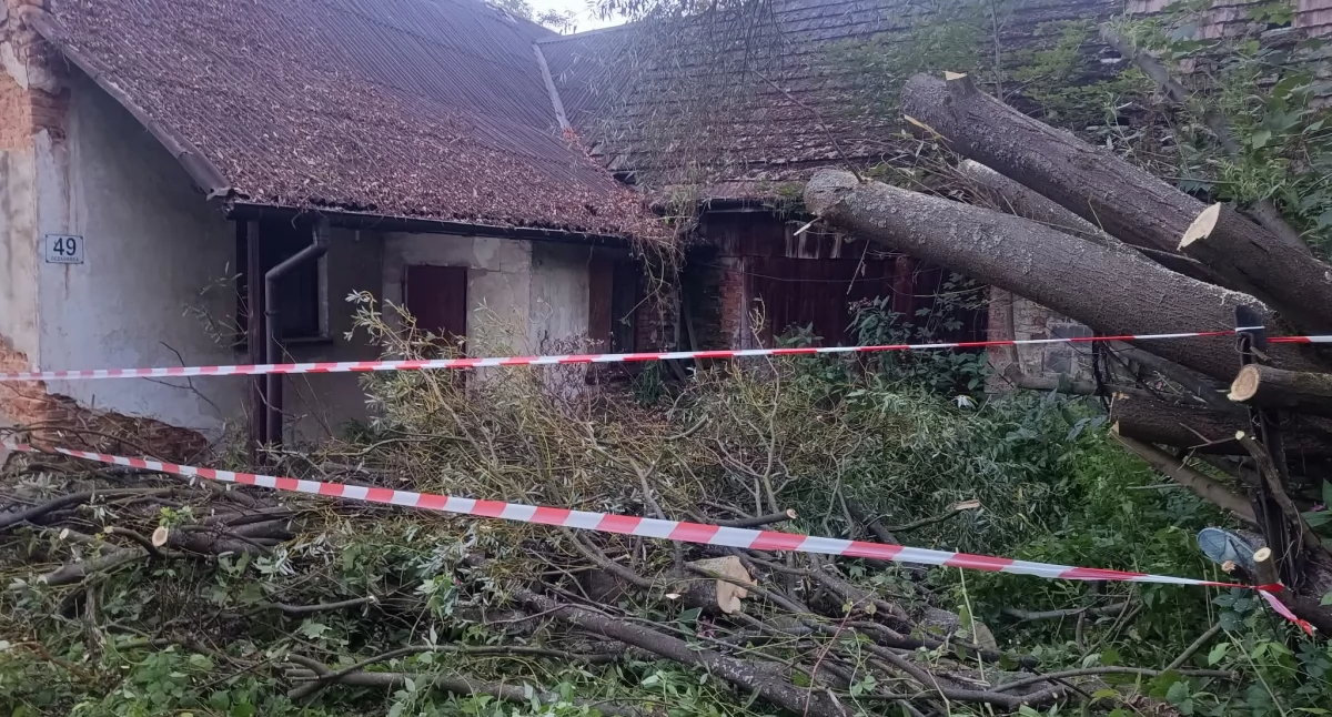 Interwencja strażaków w Oczkowie