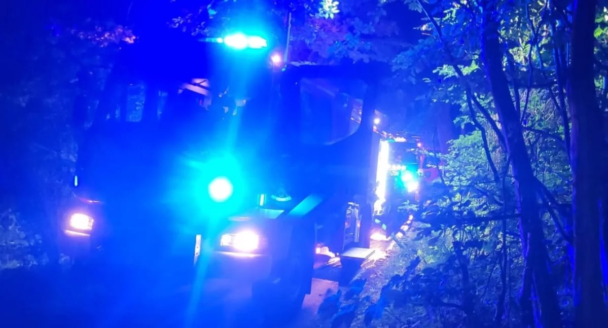 Pożar domku na drzewie w Rychwałdku