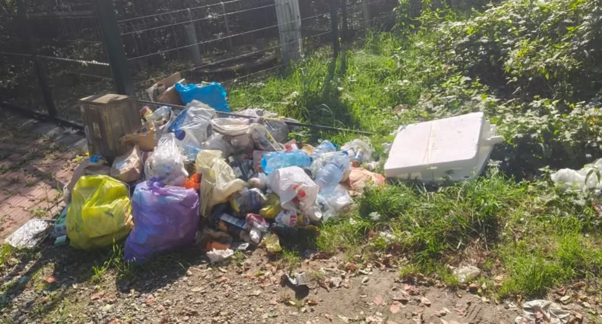 Mieszkańcy ul. Letniskowej proszą o ustawienie kontenera na śmieci