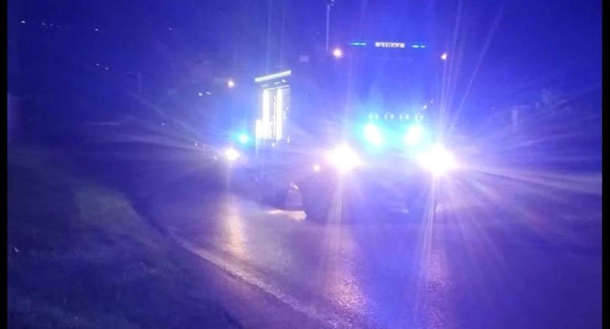 Pożar sadzy w kominie na ul. Beskidzkiej